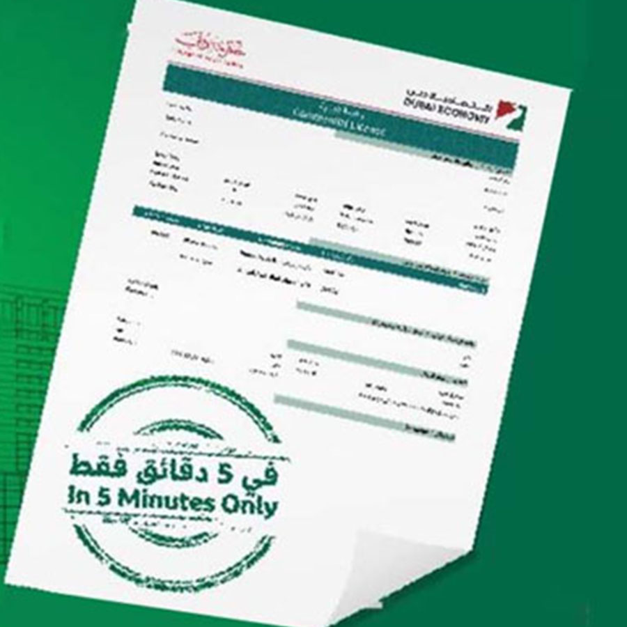 Business License in Dubai Cost & Types A Guide in 202425